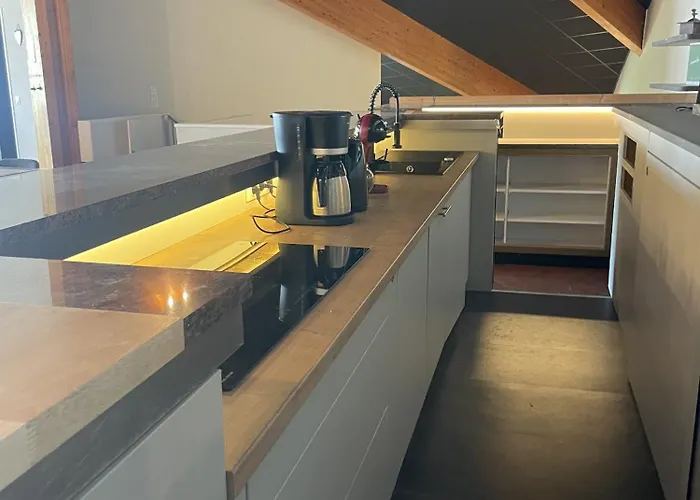 Exceptionnel Loft Appartement Le Lioran